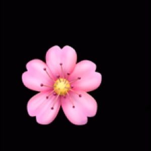 Meet your Posher, Myra